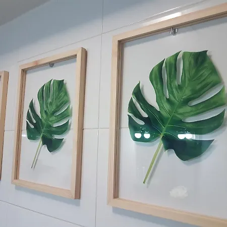 Хостел Centric Mercado *