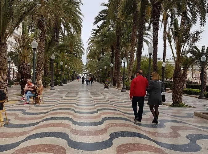 Centric Mercado Albergue Alicante